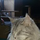 ���� �����, �������� - ��������� 17 ������ 2025 � ������ ������ ��������