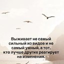 ���� X.x., ������ - ��������� 19 ����� 2025 � ������ ������ ��������
