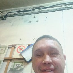 ������, 49 ���, �����������