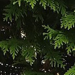 , , 42 