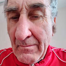 , 61, 