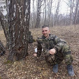 , 37, 