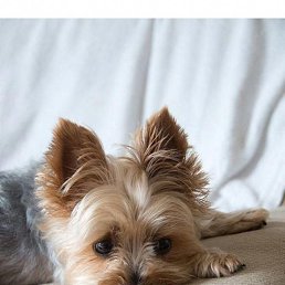 ���� ������� ����������, ����, 31 ��� - ��������� 20 ���� 2024