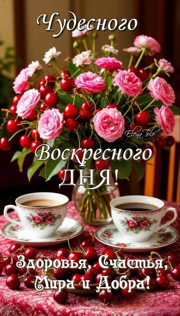   ,    . - 15  2025  16:50 - 4