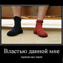 ���� �������, ��������, 43 ���� - ��������� 22 ��� 2026