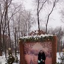  ,  , 45  -  29  2024    