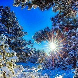 ���� ����, �����, 31 ��� - ��������� 19 ������� 2024