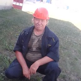 , 56, 