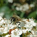 ���� ����, ����, 55 ��� - ��������� 11 ���� 2024 � ������ ���� ����������