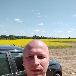, 42, 