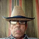  ., , 67  -  12  2024    