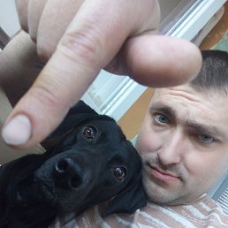 , 33,  