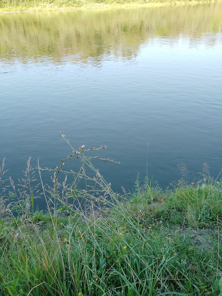   ,    . - 17  2025  19:59 - 7