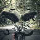 ���� �, ���������� - ��������� 24 ���� 2026 � ������ ���� ����������