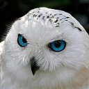 ���� �������, ������, 46 ��� - ��������� 16 ������ 2024 � ������ ���� ����������