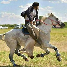 ��������, ������, 26 ���