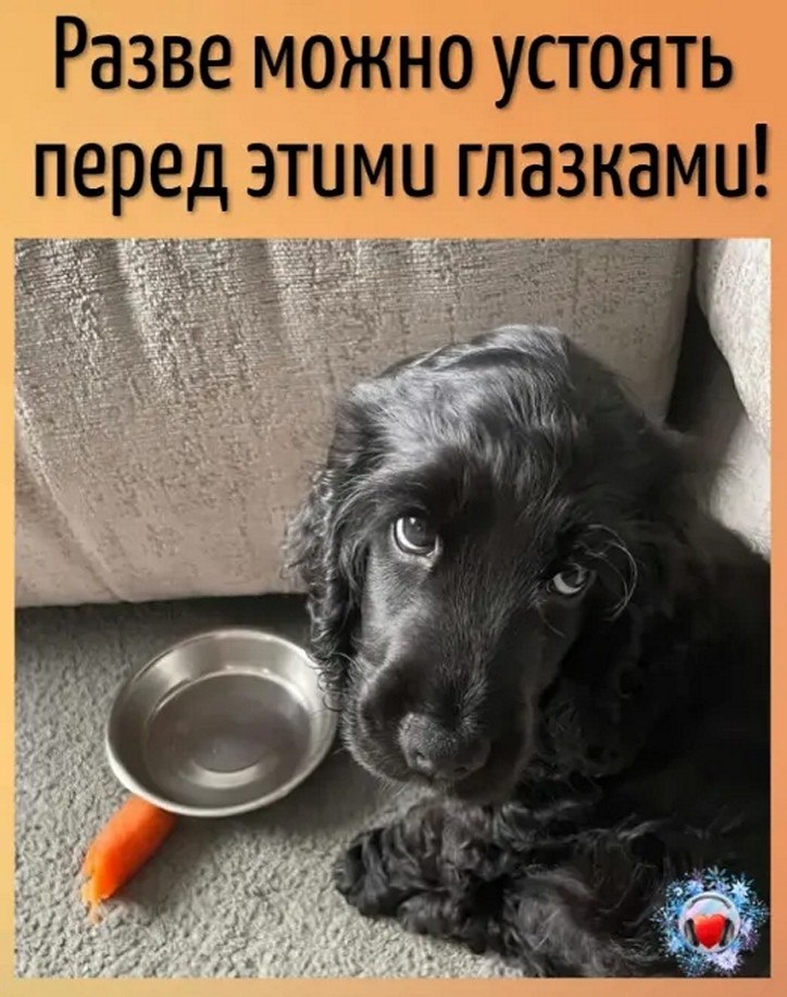 ☆������ �����☆ - 3 ������� 2025 � 20:20