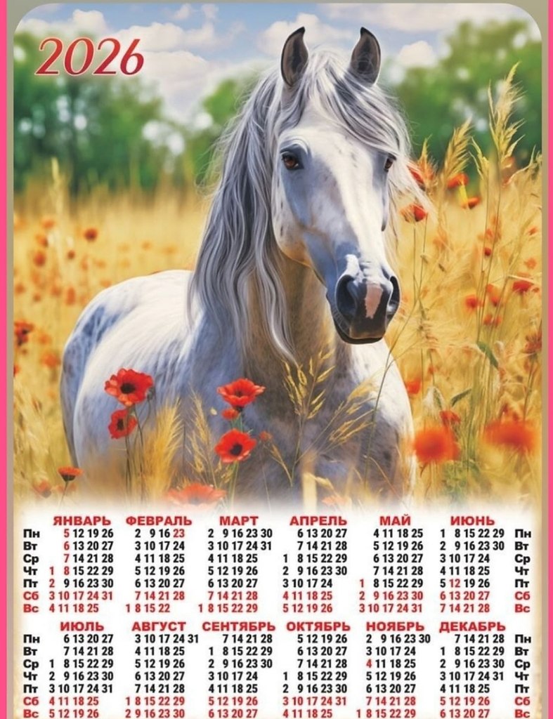   ,    . - 11  2025  23:55