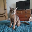 ���� �������, �������, 66 ��� - ��������� 8 ������ 2025 � ������ ���� ����������