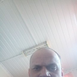 ���������, �����, 37 ���