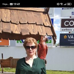 , 58, 