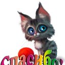 ���� ����������, ���������, 50 ��� - ��������� 9 ������ 2023