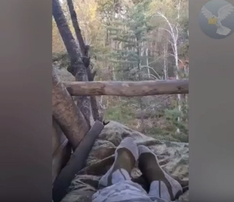 Человек, считающий себя венцом творения, оказался в положении загнанной дичи. На опубликованных ... - 2