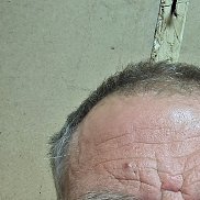 , 43 , 