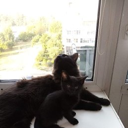 ���� �������, ������ ��������, 37 ��� - ��������� 4 ������ 2026