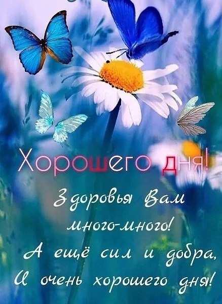   ,    . - 17  2025  16:03