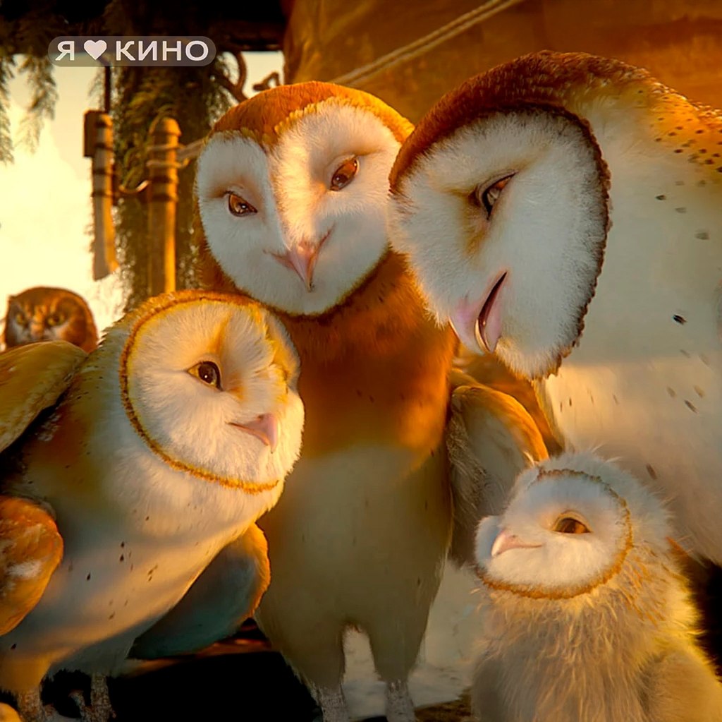 po pa c  Bo eca.e ox c (2010) 0+p: , ... - 2