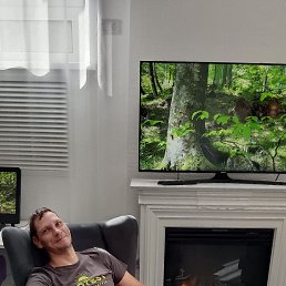 , 41, 