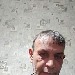 , 52, 