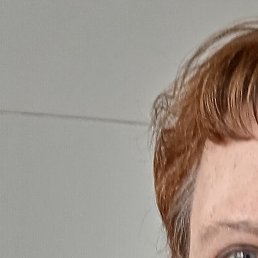 ������, �������, 66 ���