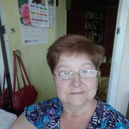, 66, 