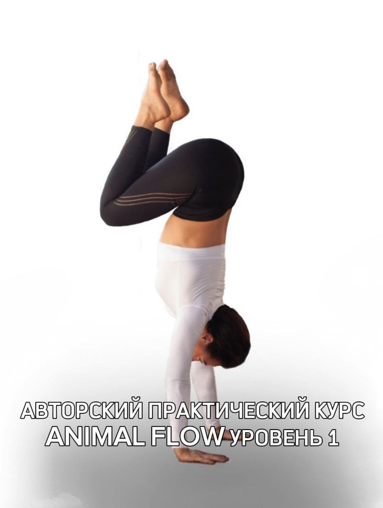  ,     :    Animal Flow     ...