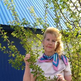 , 50, 