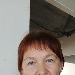 , 65, 