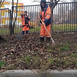 ����, ������, 37 ���