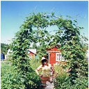 ���� �����, ������, 62 ���� - ��������� 22 ������� 2025 � ������ ���� ����������