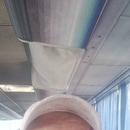 , 45, 