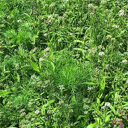 ���� ������, ���������, 39 ��� - ��������� 4 ������� 2023