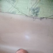 , 65, 