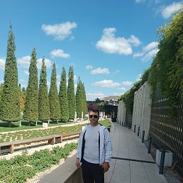 , 39, 
