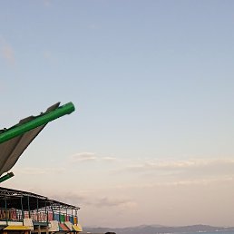 ���� ���������, ������, 41 ��� - ��������� 31 ������� 2023