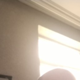, 53, 