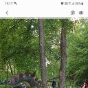  , , 51  -  9  2024    