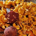 ���� �������, ������ - ��������� 9 ���� 2026 � ������ ������ ��������