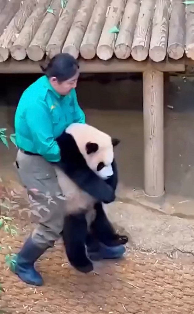 ae ec ecoo p epo,  oop pao o a.  ocoa e  ...