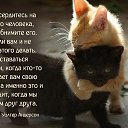���� ���������, ���������, 74 ���� - ��������� 5 ��� 2026 � ������ ������ ��������